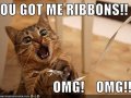 funny-pictures-cat-is-excited-about-ribbons.jpg